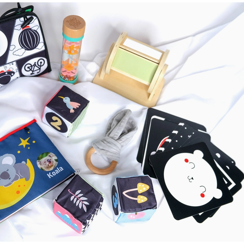 „BusyKids“ Montessori rinkinys kūdikiams nuo gimimo iki 6 mėnesių 1